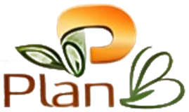 Plan B